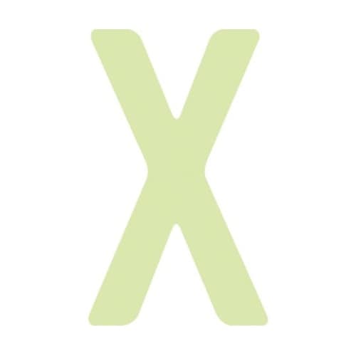 非常用標識 中輝度蓄光カッテイング文字