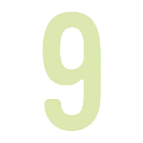 AILUMI509蓄光カッテイング文字9