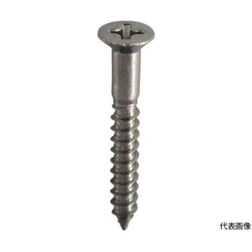 10179279 ビス 60本
