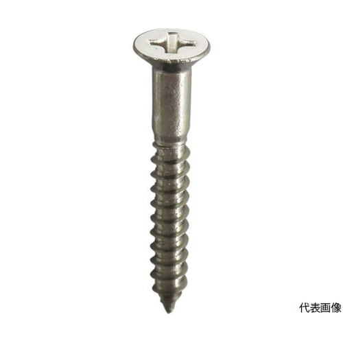 10179282 ビス 白 60本