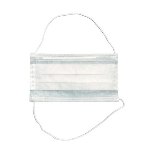 ディーププリーツマスク2PLY頭かけ2W