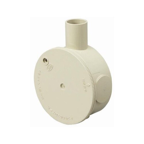 R16ZJHW カチコネ 丸BOX16