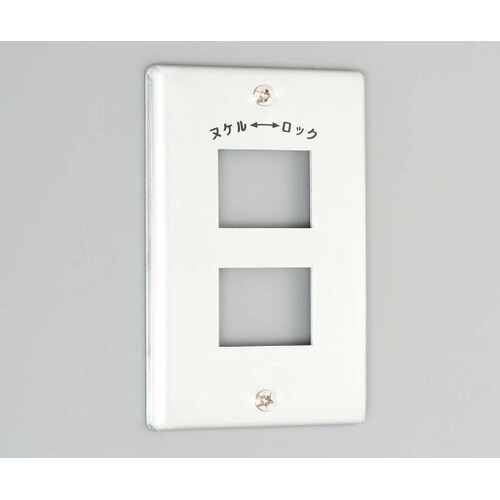 1101A 新金プレート引掛複式横1個用