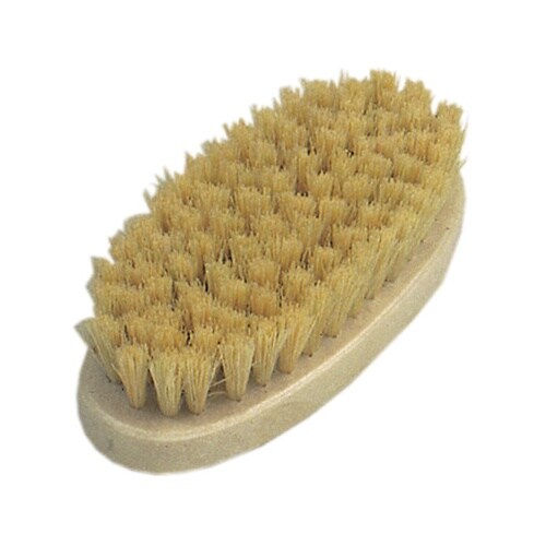 50575 パキン小判ブラシ