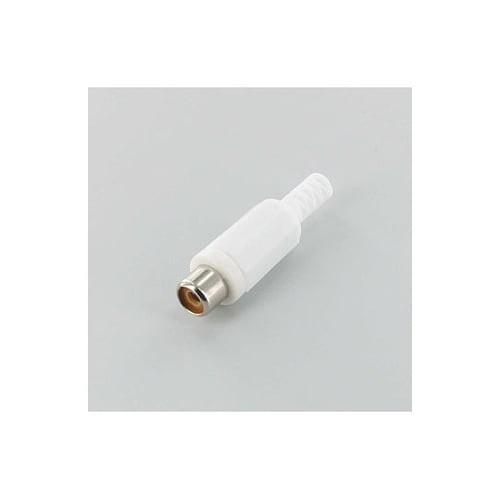 WTN20F61991WRCAジャック白