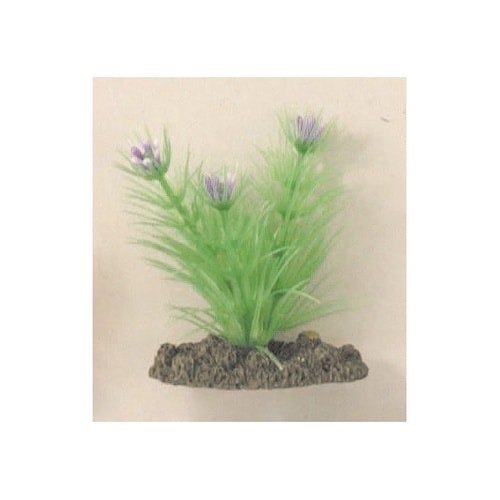 NAP−304 アクアティックプランツ