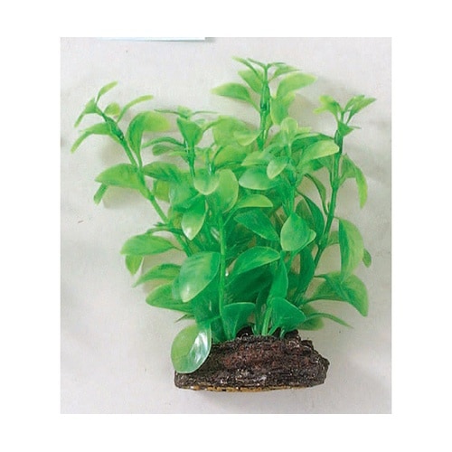 NAP−366 アクアティックプランツ