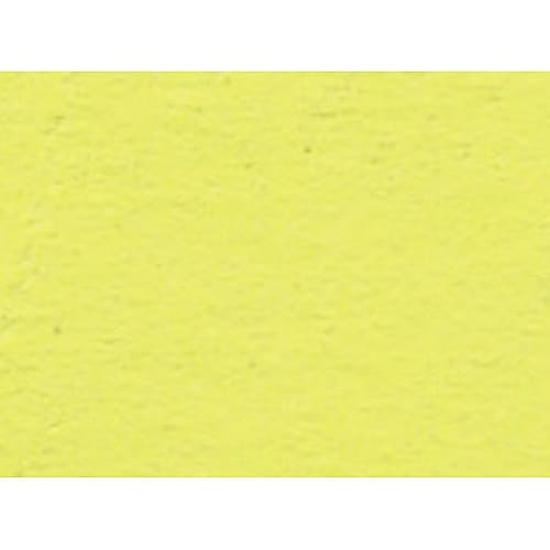 15554ニューカラー 4切 レモン