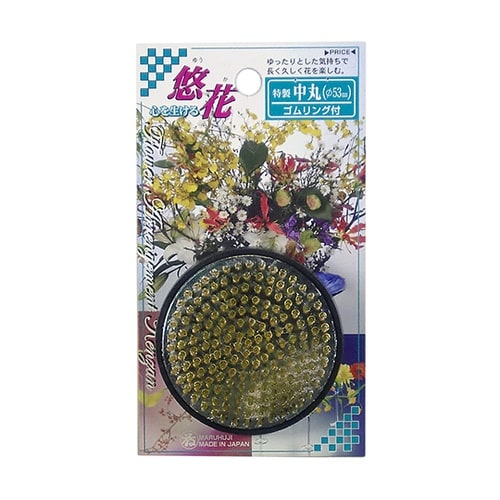 剣山 中丸