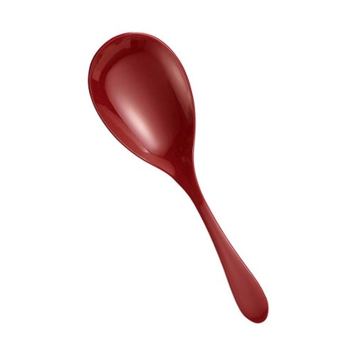 6224530大スプーン朱1500431