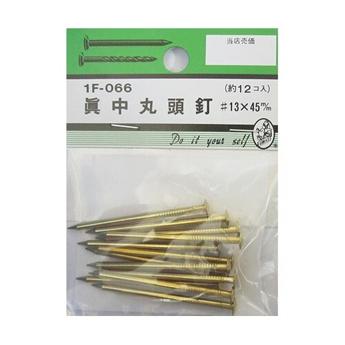 1F066 真中丸頭釘 #13×45mm