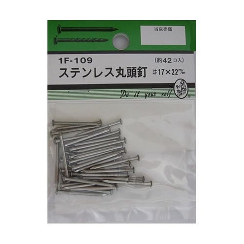 1F109 ステン丸頭釘