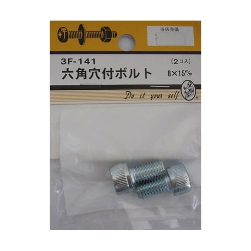 3F141 六角穴付ボルト 2個入