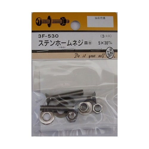 3F530 ステンホームネジ 3個入