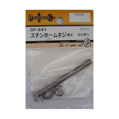3F541 ステンホームネジ