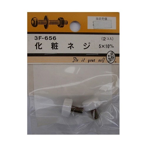 3F656 化粧ネジ 5×10mm 2個