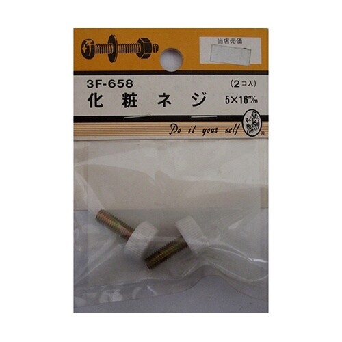 3F658 化粧ネジ 5×16mm 2個