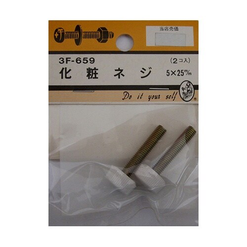 3F659 化粧ネジ 5×25mm 2個