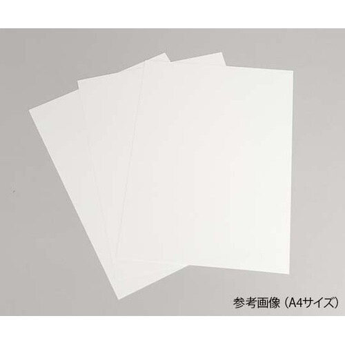 ハルシックイV NW白糊−MX3 A4