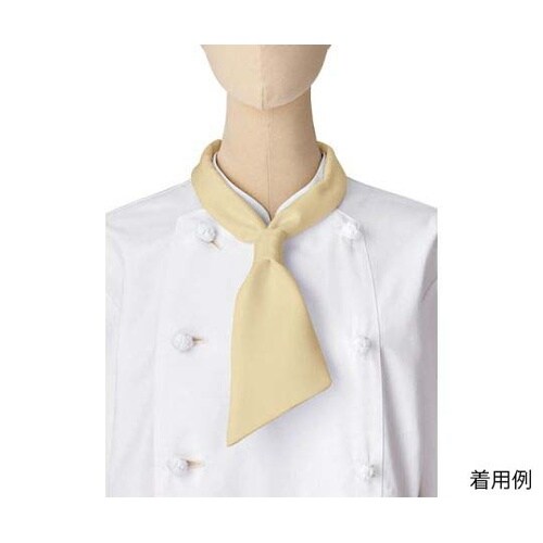 FA9199−1 コックタイ