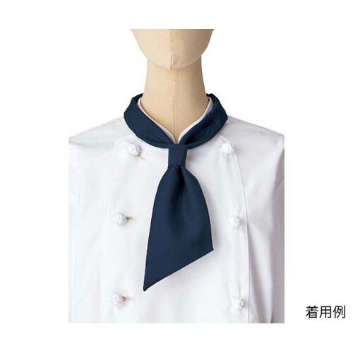 FA9199−8 コックタイ