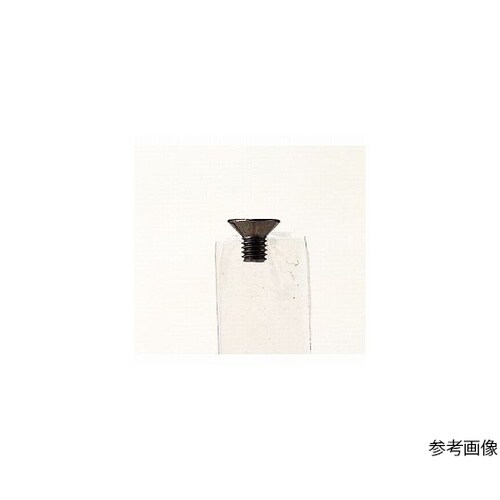 MR−1S取り外し防止トルクスビス20個