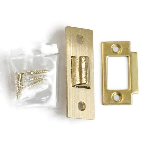 17622 真中三角戸バネ(中) 1個入