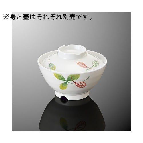 A 124B−LF飯茶碗中身リーフルDC