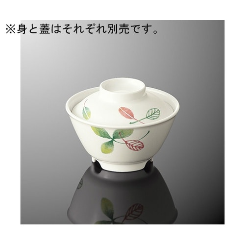 A 45B−LF 飯碗 小身リーフルDC