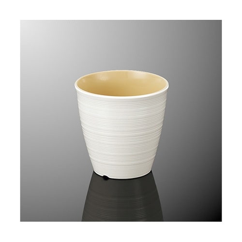 C 39WBDフリーカップ大白/ベージュ