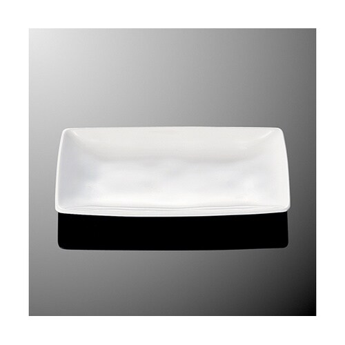 E 117−IWC 長角皿 白C