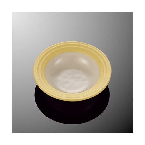 E 287−Y 15.5cmサラダボール