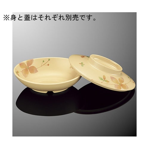 G 80BCF楕円小鉢大身カラフルリーフ