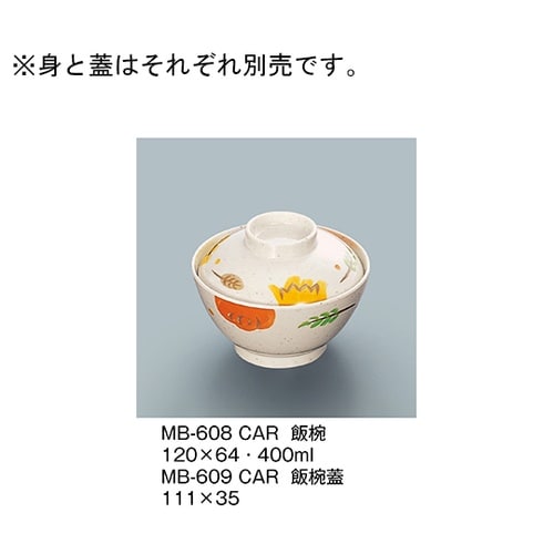 MB−608_CAR 飯椀 カリブ