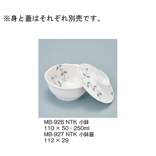 MB−927_NTK 小鉢蓋 南天唐草