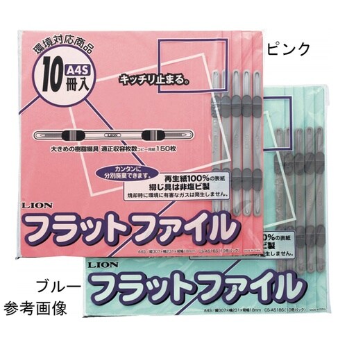 フラットファイル 1パック(10冊入)