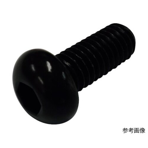 六角穴付きボタンボルト M4×30 BT