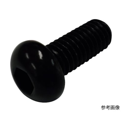 六角穴付きボタンボルト M6×15 BT