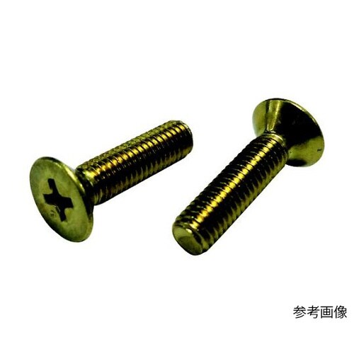皿小ねじ 真鍮 3×10 FLATSS−