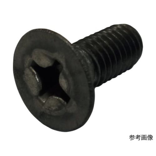 皿小ねじ チタン M3x10 FLATS