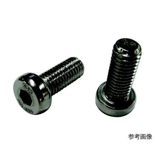ローヘッド六角穴付きボルト SUS304