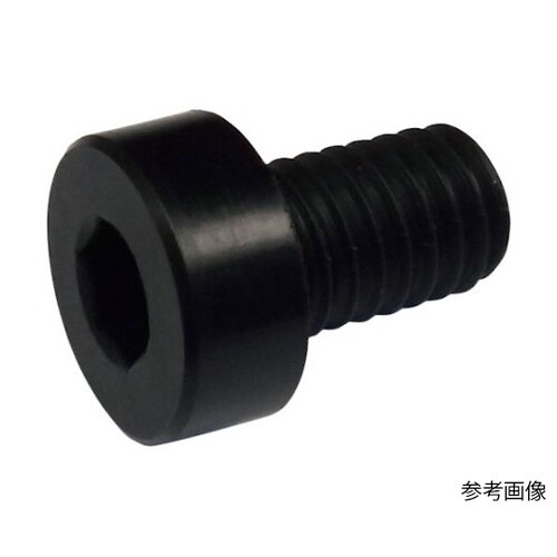 低頭六角穴付きボルト RENY M6×2