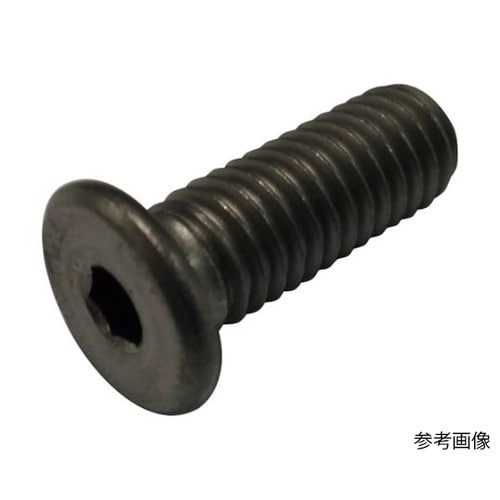 極低頭六角穴付きボルト チタン M4x1