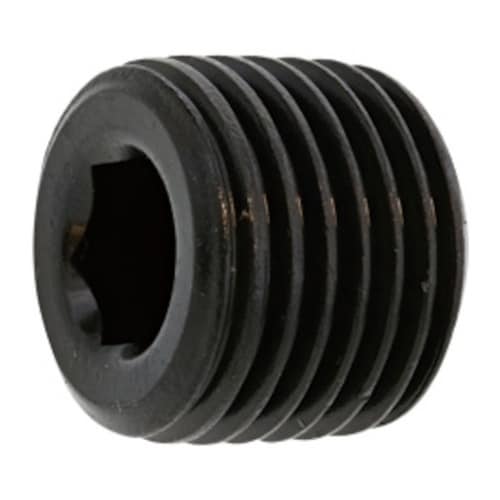 三価ホワイト プラグA(浮き PT 1”