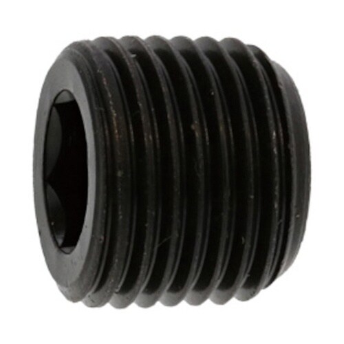 プラグ(沈み(日星 PP2 PP2 1/