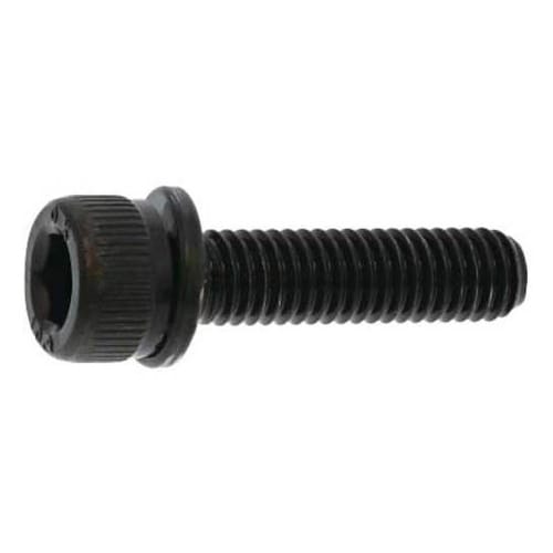 クロメ−ト 10.9CAP P=2 岡井