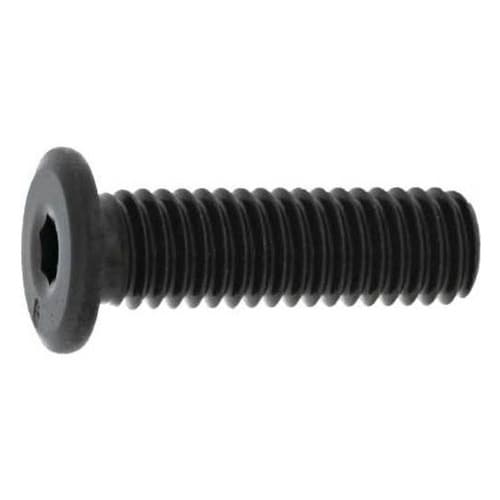 NSローヘッド パワーエイト 12×60