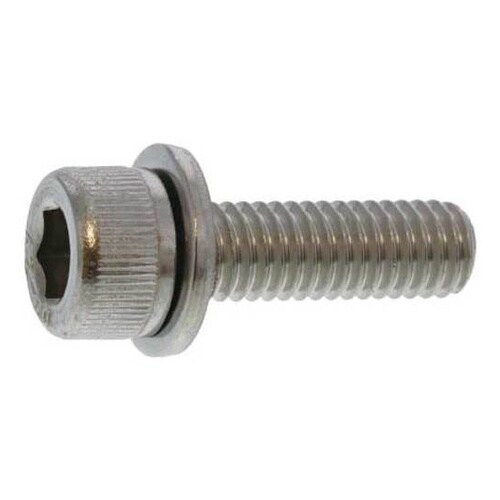 ステンCAP I=1 2.5×6 (30