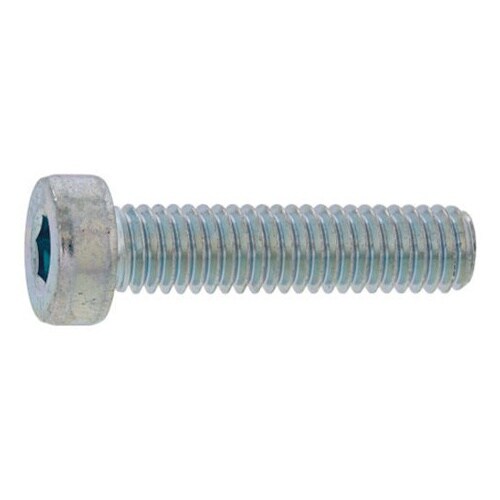 SUSローヘッドCAP 4×6 (30本