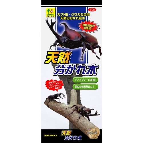 天然 分かれ木 T05